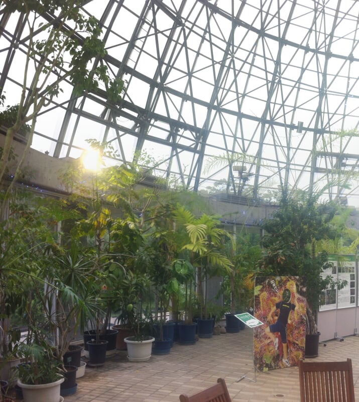 夢の島熱帯植物館の写真9