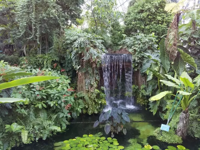 夢の島熱帯植物館の写真1