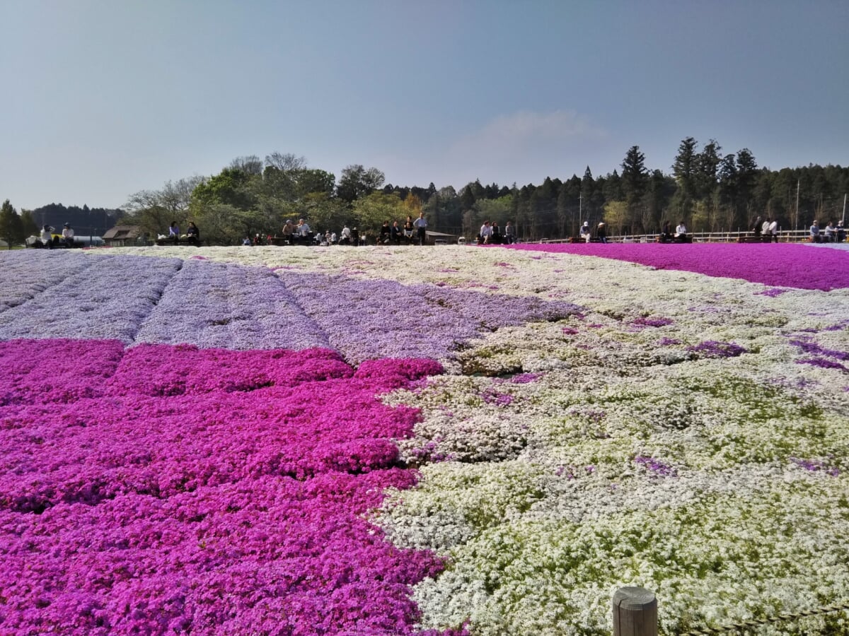 富田さとにわ耕園の写真1