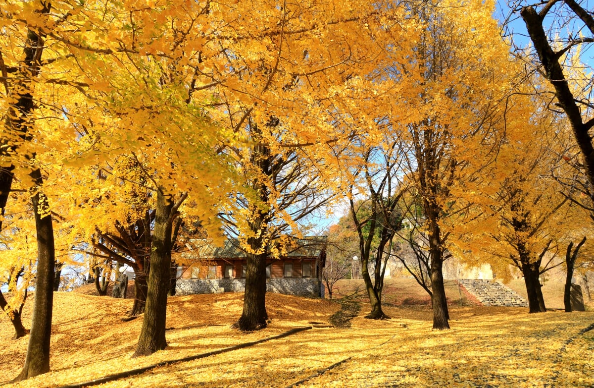 嘉多山公園の写真3