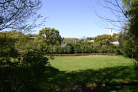 田園調布せせらぎ公園