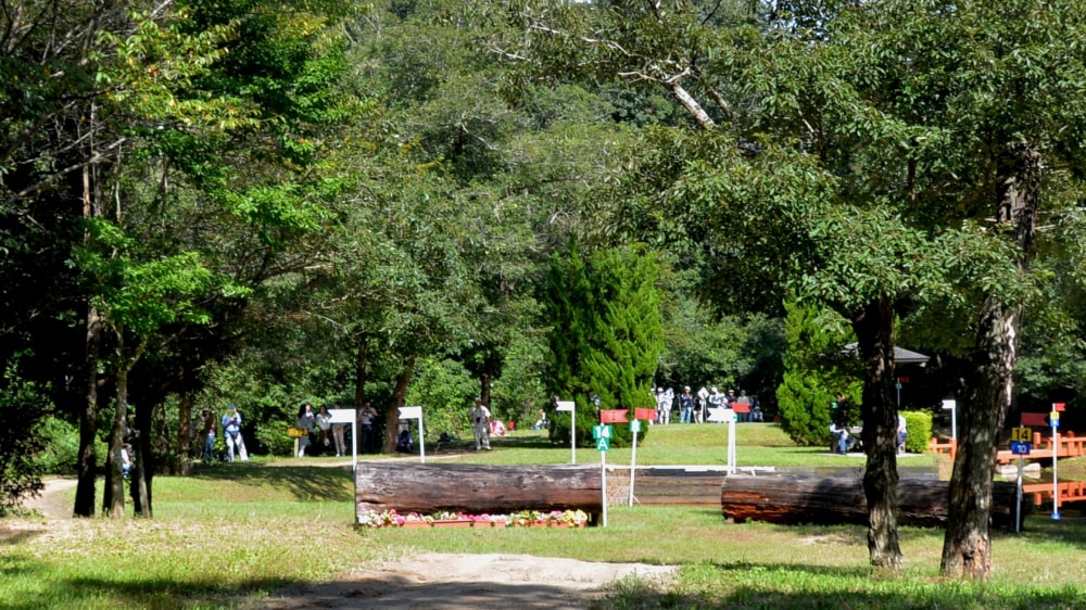 三木ホースランドパークの写真2