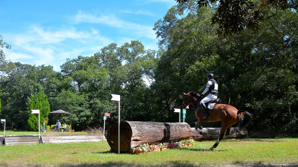 三木ホースランドパークの写真3