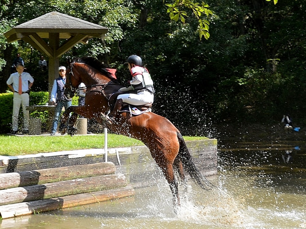 三木ホースランドパークの写真4
