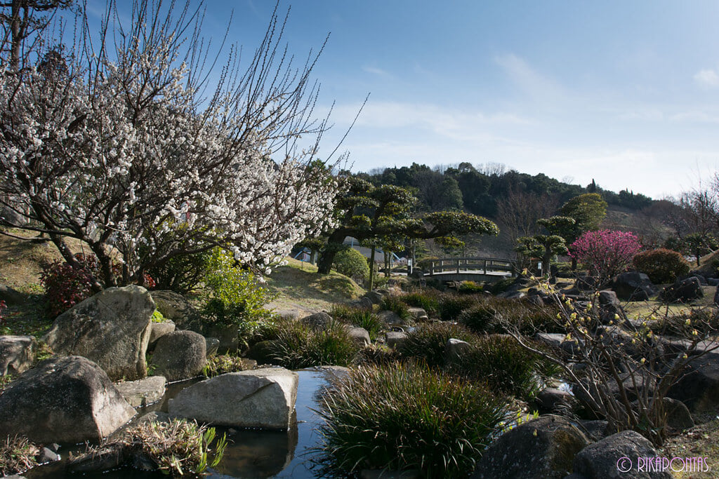 冠山総合公園の写真1
