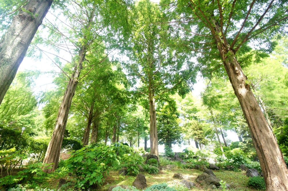 相模原北公園の写真5