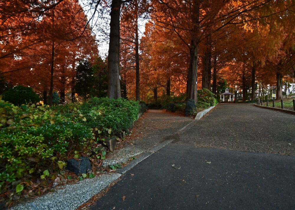 相模原北公園の写真8