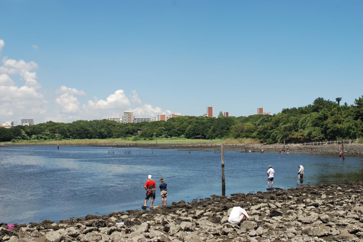 大井ふ頭中央海浜公園なぎさの森の写真1