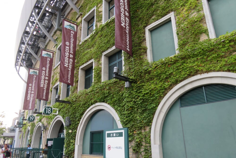 阪神甲子園球場の写真3