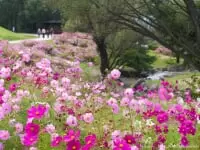 国営讃岐まんのう公園