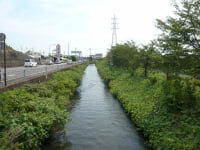道の駅 富有柿の里いとぬき