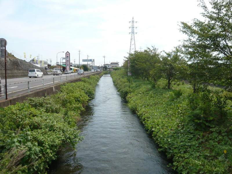 道の駅 富有柿の里いとぬきの写真1