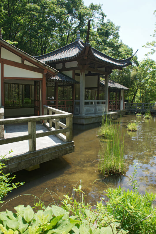 北山緑化植物園の写真6