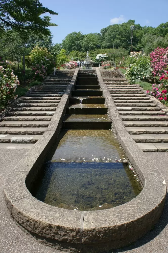 北山緑化植物園の写真1