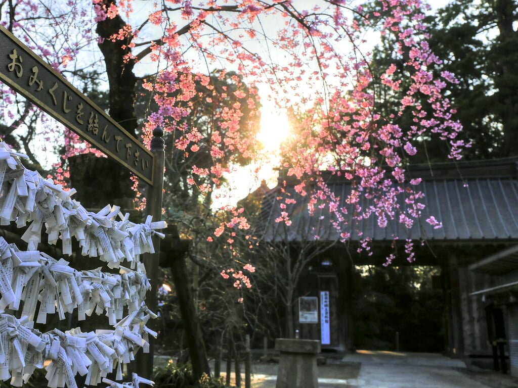 笠森観音の写真5