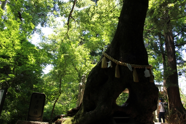 笠森観音の写真7