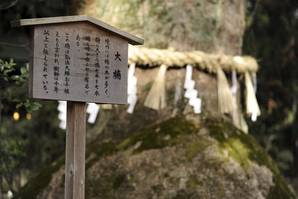 熱田神宮の写真2