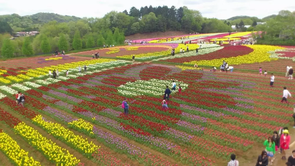 世羅高原農場の写真1