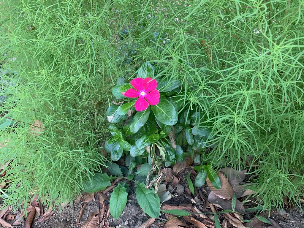 城北中央公園の写真2