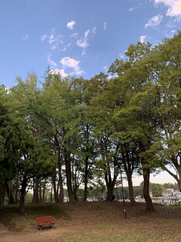 城北中央公園の写真4