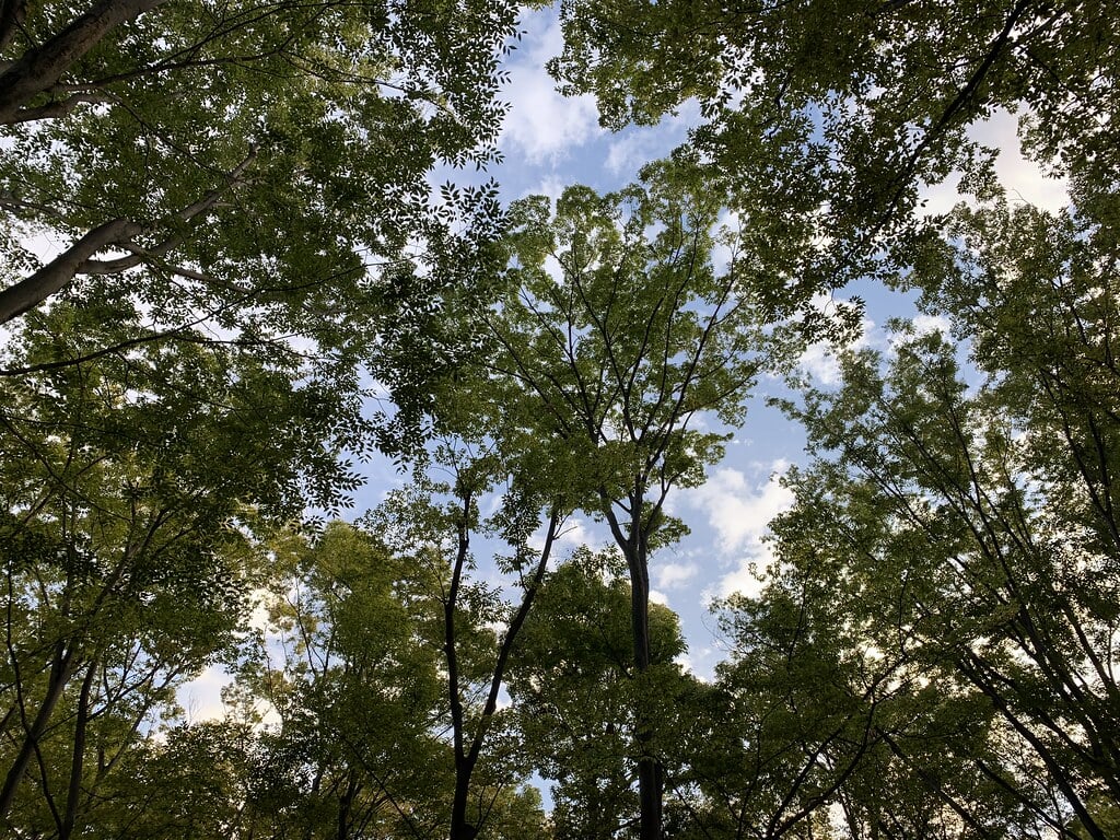 城北中央公園の写真5