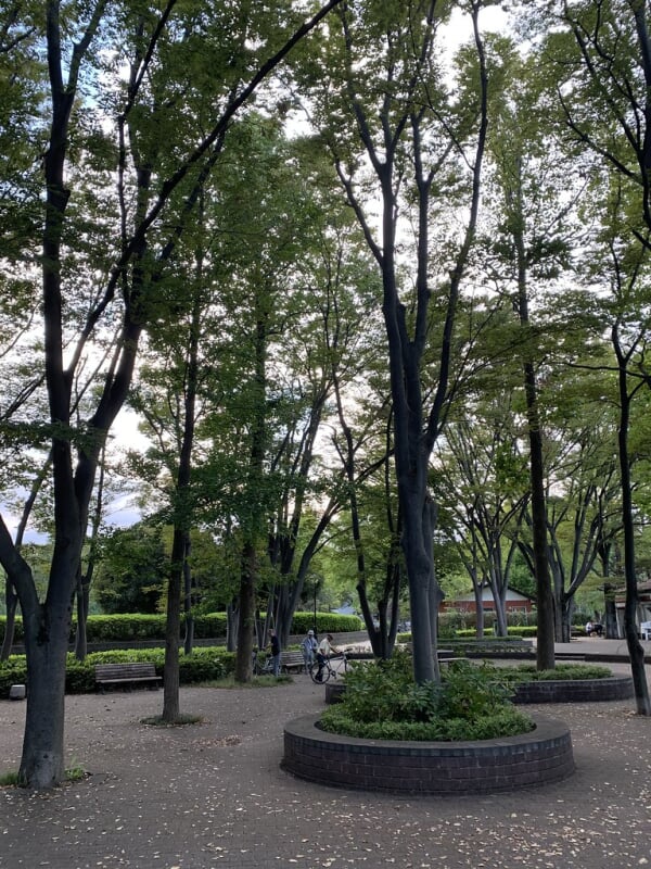 城北中央公園の写真6
