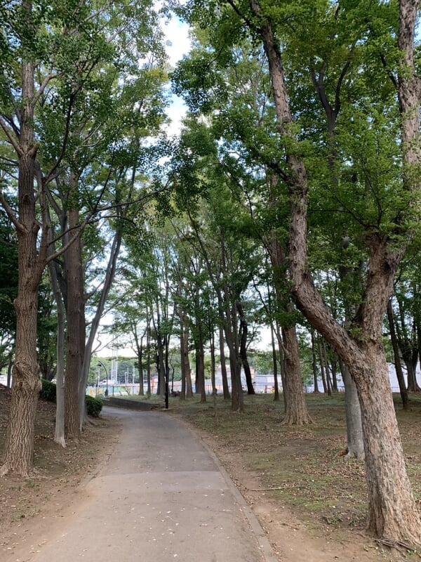 城北中央公園の写真8