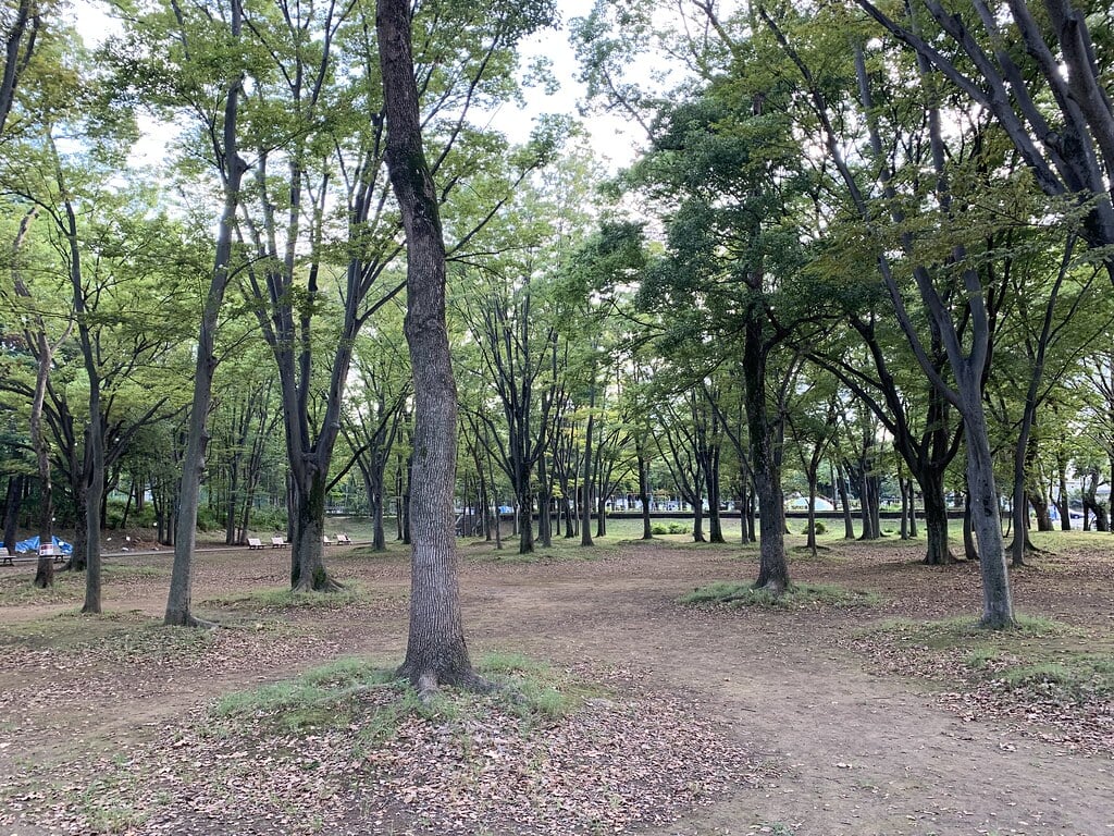 城北中央公園の写真9