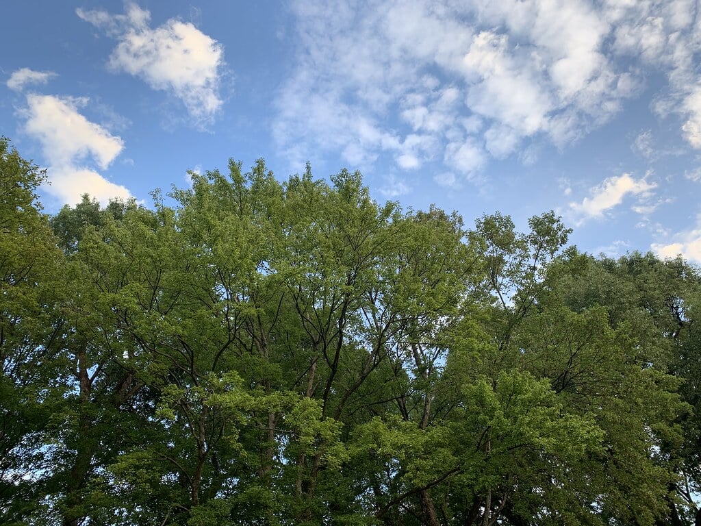 城北中央公園の写真10