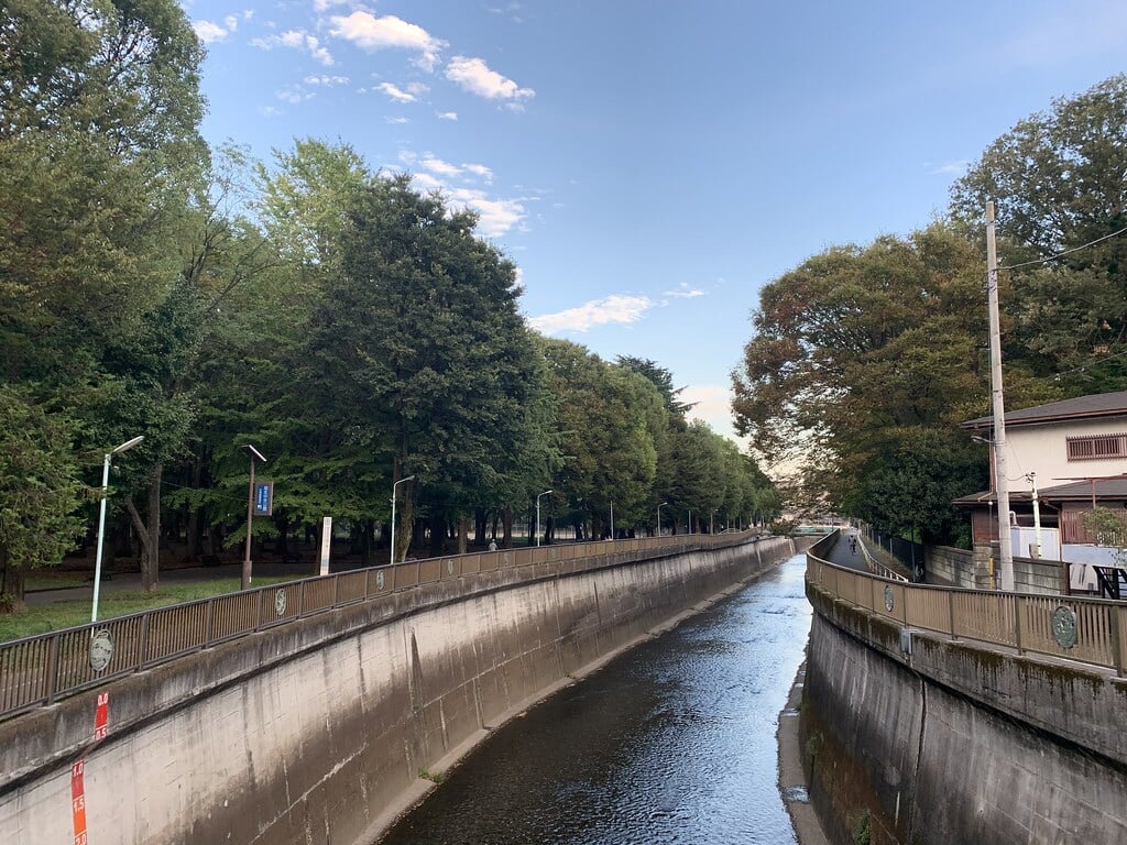 城北中央公園の写真11
