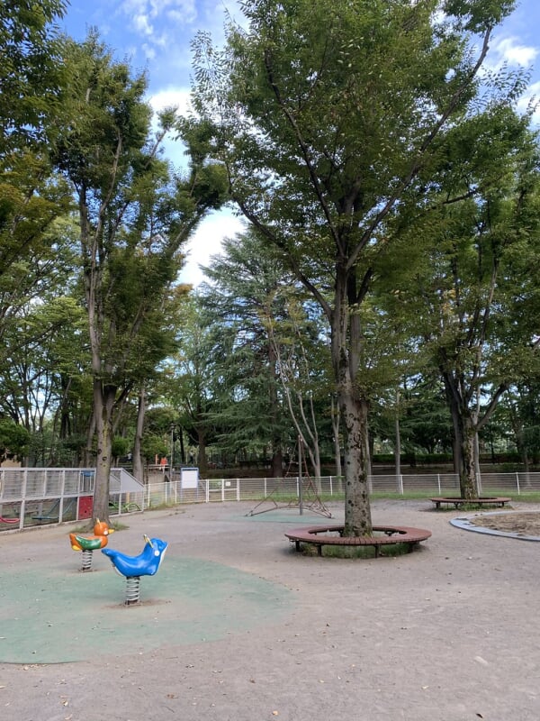 城北中央公園の写真13