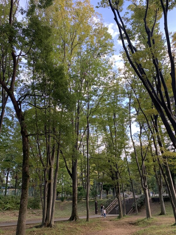 城北中央公園の写真15