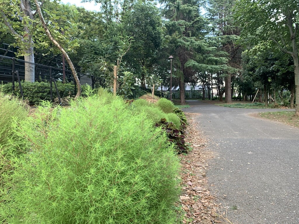 城北中央公園の写真16