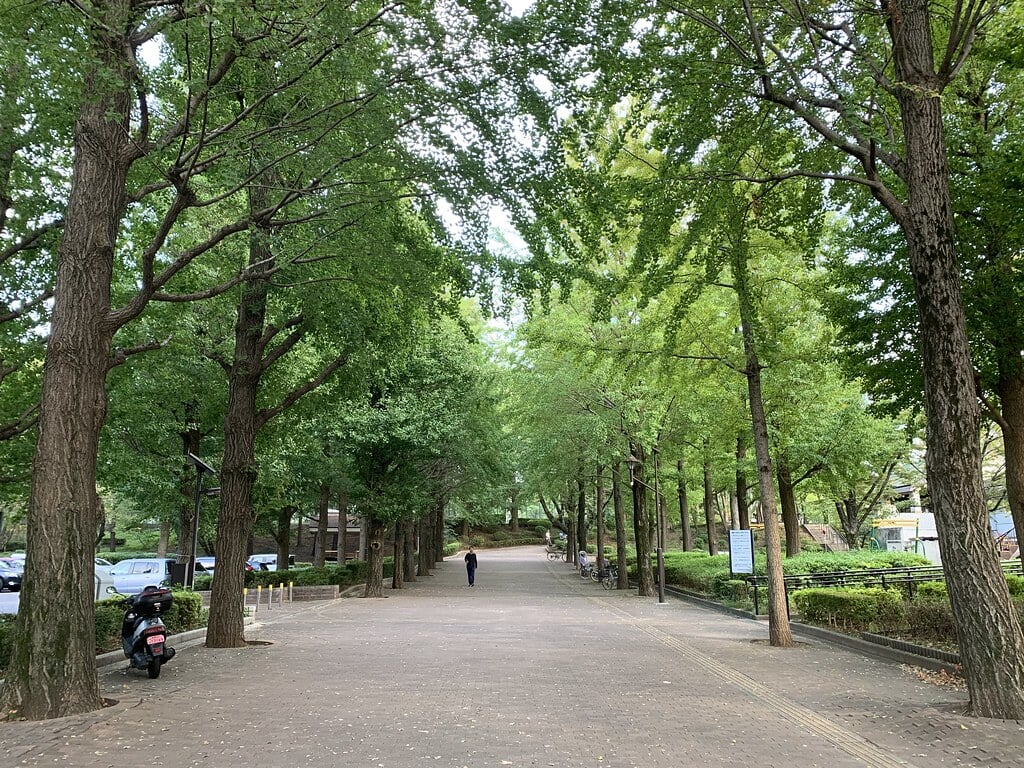 城北中央公園の写真17