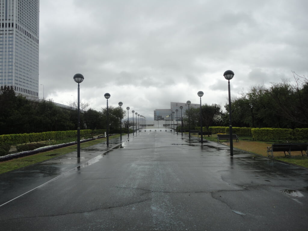 りんくう公園の写真5