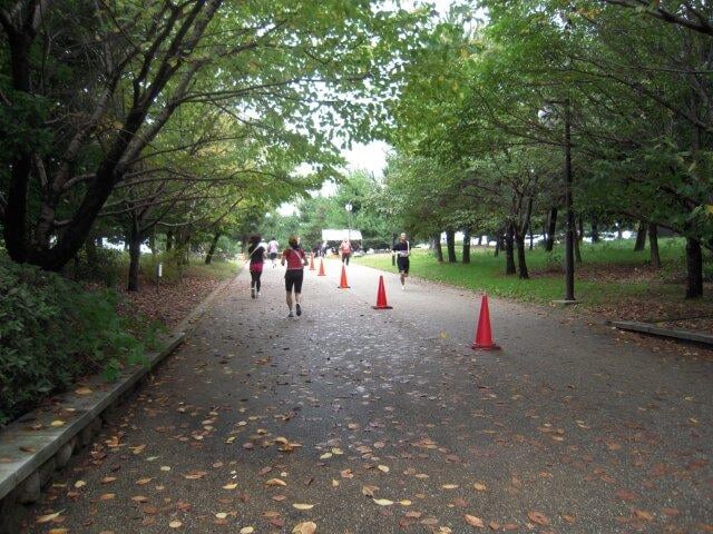 りんくう公園の写真6