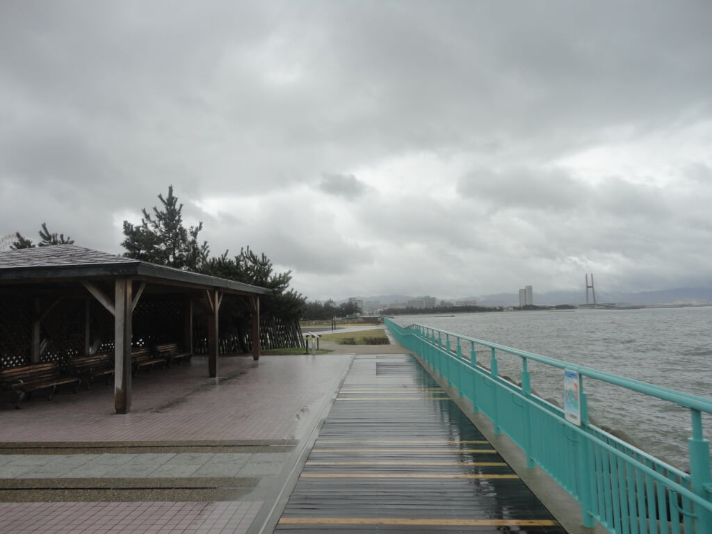 りんくう公園の写真11