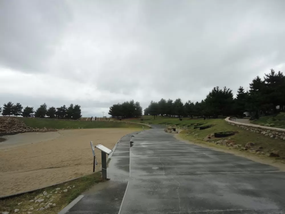 りんくう公園の写真1