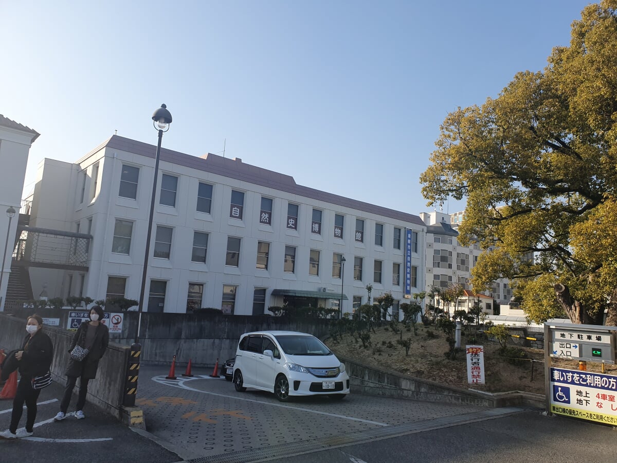 倉敷市立自然史博物館の写真2