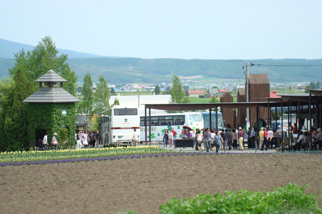 ファーム富田の写真6