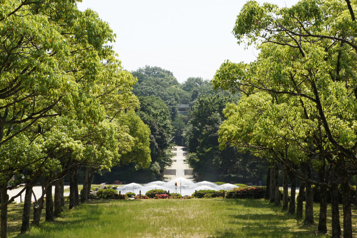 兵庫県立甲山森林公園の写真9