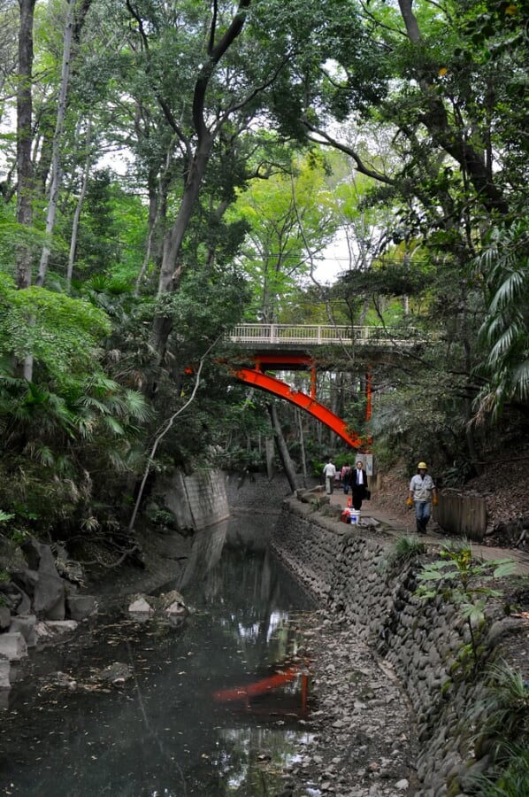 等々力渓谷の写真2