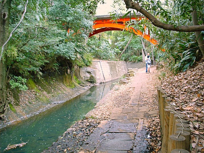 等々力渓谷の写真3