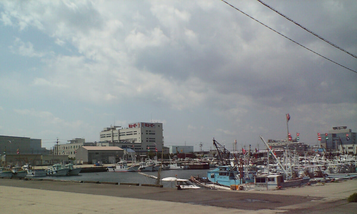 泉佐野漁港 青空市場の写真1