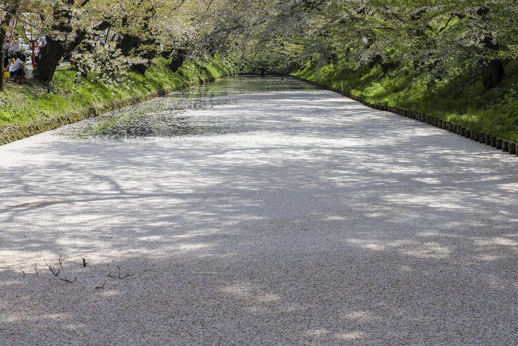 弘前公園の写真2