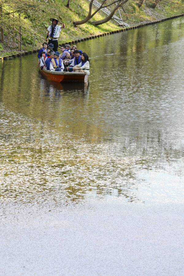 弘前公園の写真3