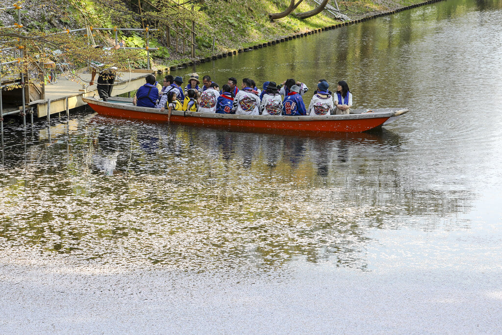 弘前公園の写真6