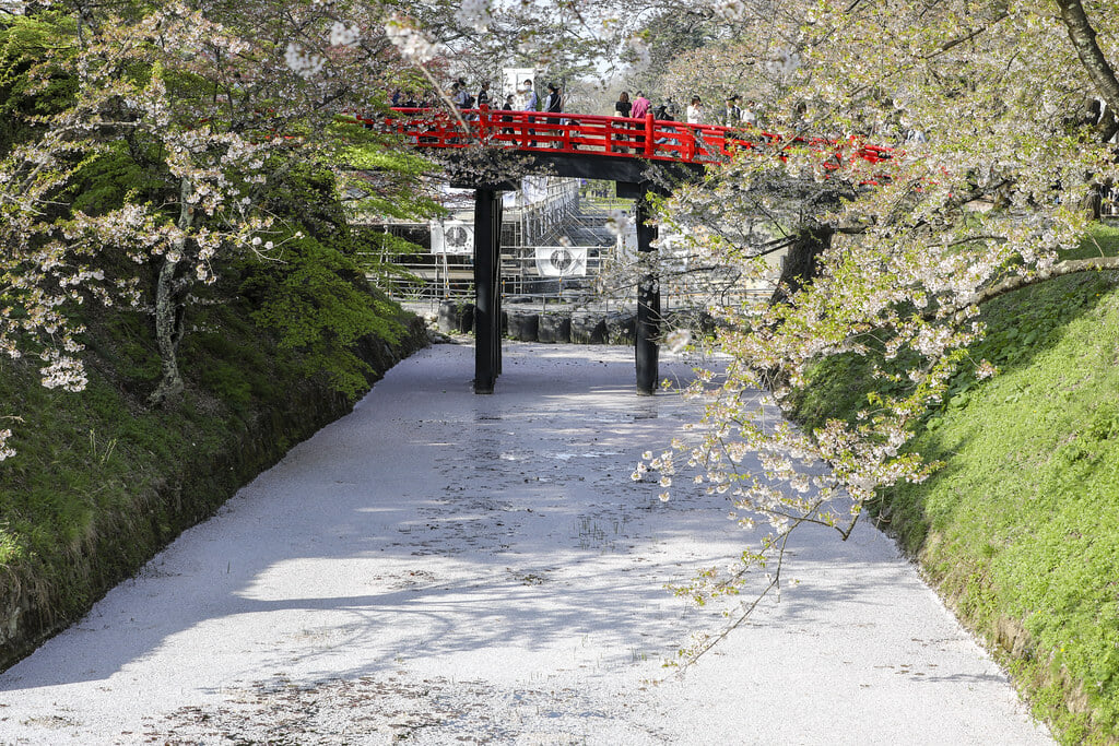 弘前公園の写真8