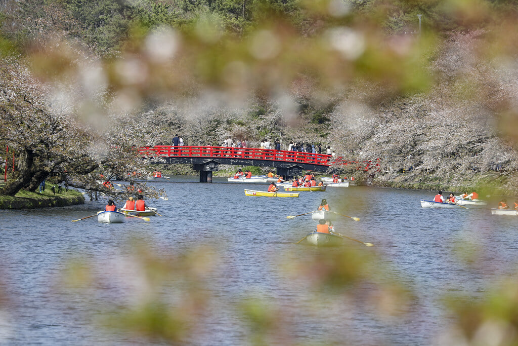 弘前公園の写真9