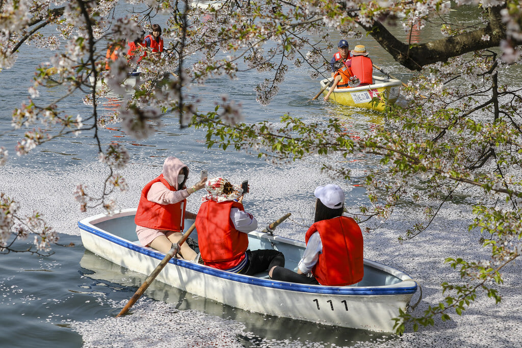 弘前公園の写真10